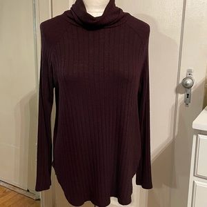 NWT. Evereve. Michael Stars turtleneck tunic.